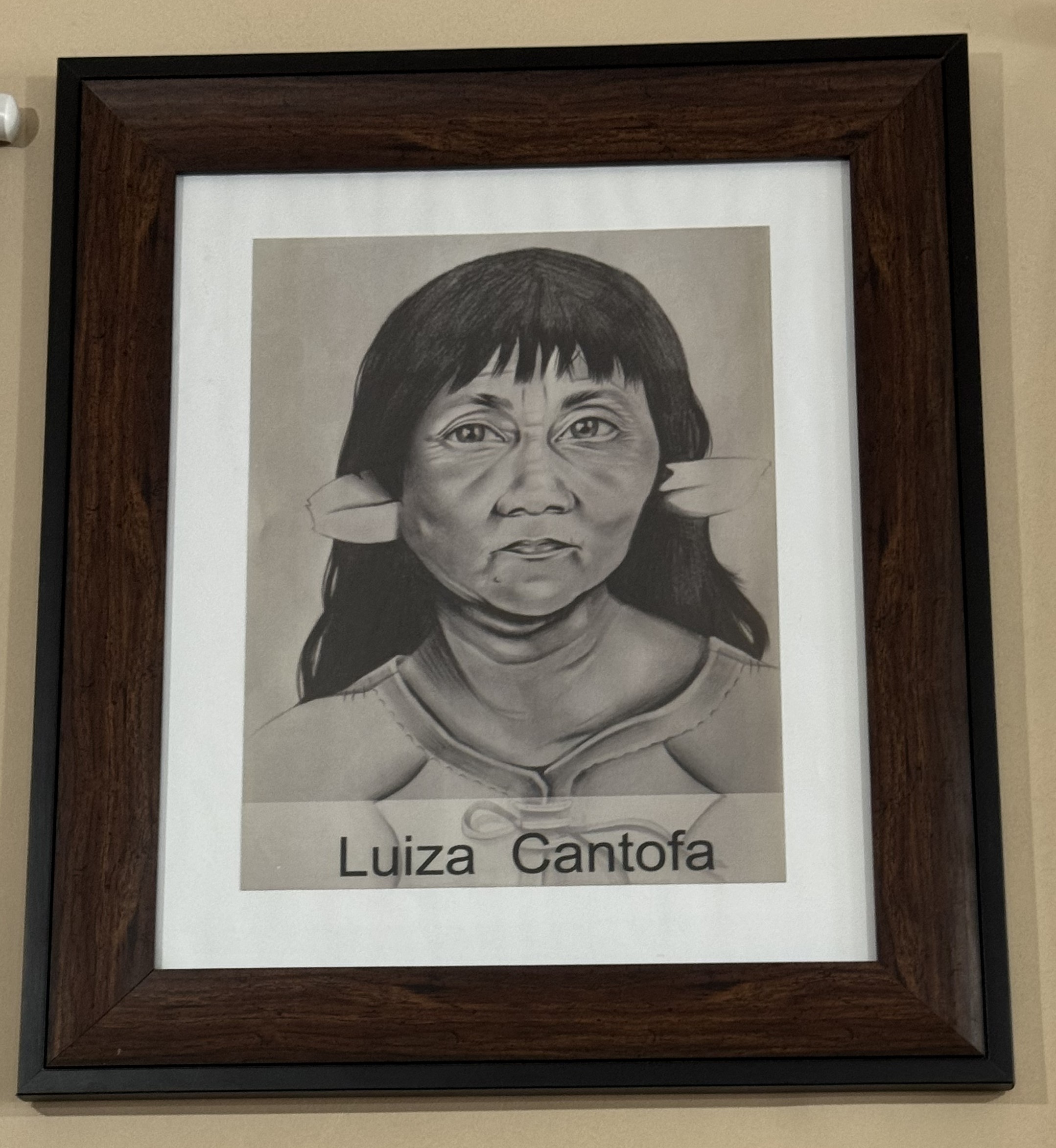 Fotografia de Luiza Cantofa